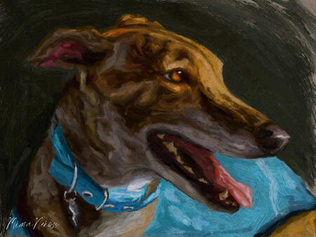 Galgo 9x12